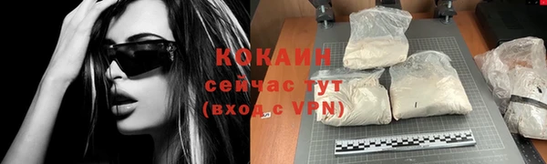 альфа пвп Бородино