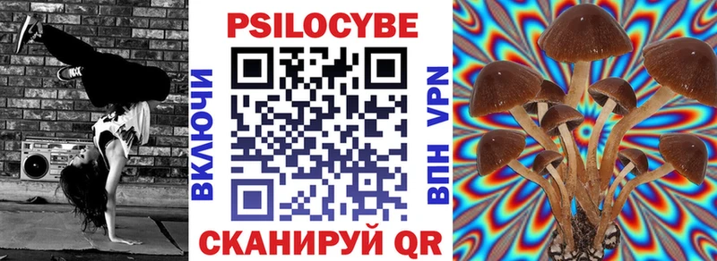 Галлюциногенные грибы Cubensis  цена наркотик  Городец 