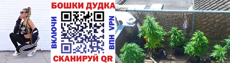 гидра как войти  Городец  Канабис Bruce Banner 
